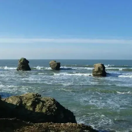 Appartement moderne à Saint-Hilaire-de-Riez de 51 m² avec balcon Appartement *